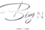logo-main-1558498127 The Big Night